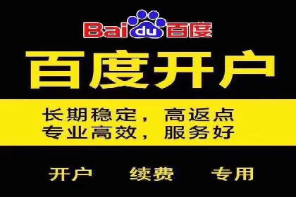 SEM代运营案例：打造高效广告投放方案